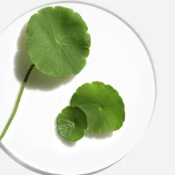 Moisture Surge™ Intense 72H Lipid-Replenishing Hydrator nawilżający żelowy krem do twarzy 50ml